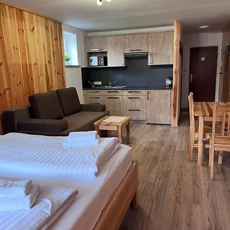 Appartement Mountain Near Bus - Walk Everywhere - Location Kaprun